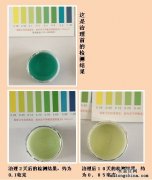 怎樣除甲醛，效果看得見？