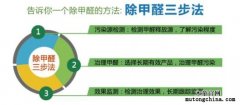 除甲醛選對方法是關鍵