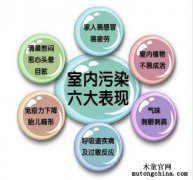 什么東西除甲醛的效果好？